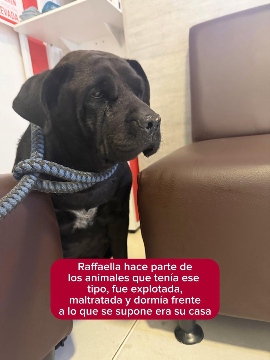 Rafaela (3/9)