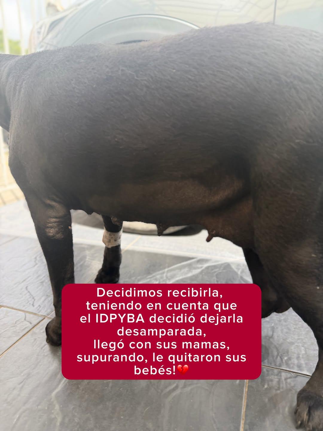 Rafaela (4/9)
