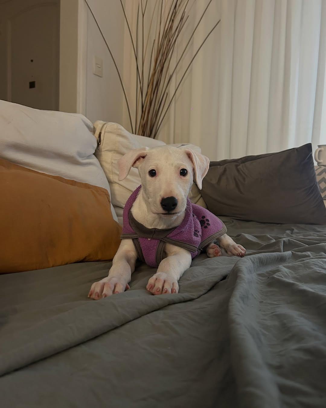 Noemí, Naima, Nori +1 (16/19)