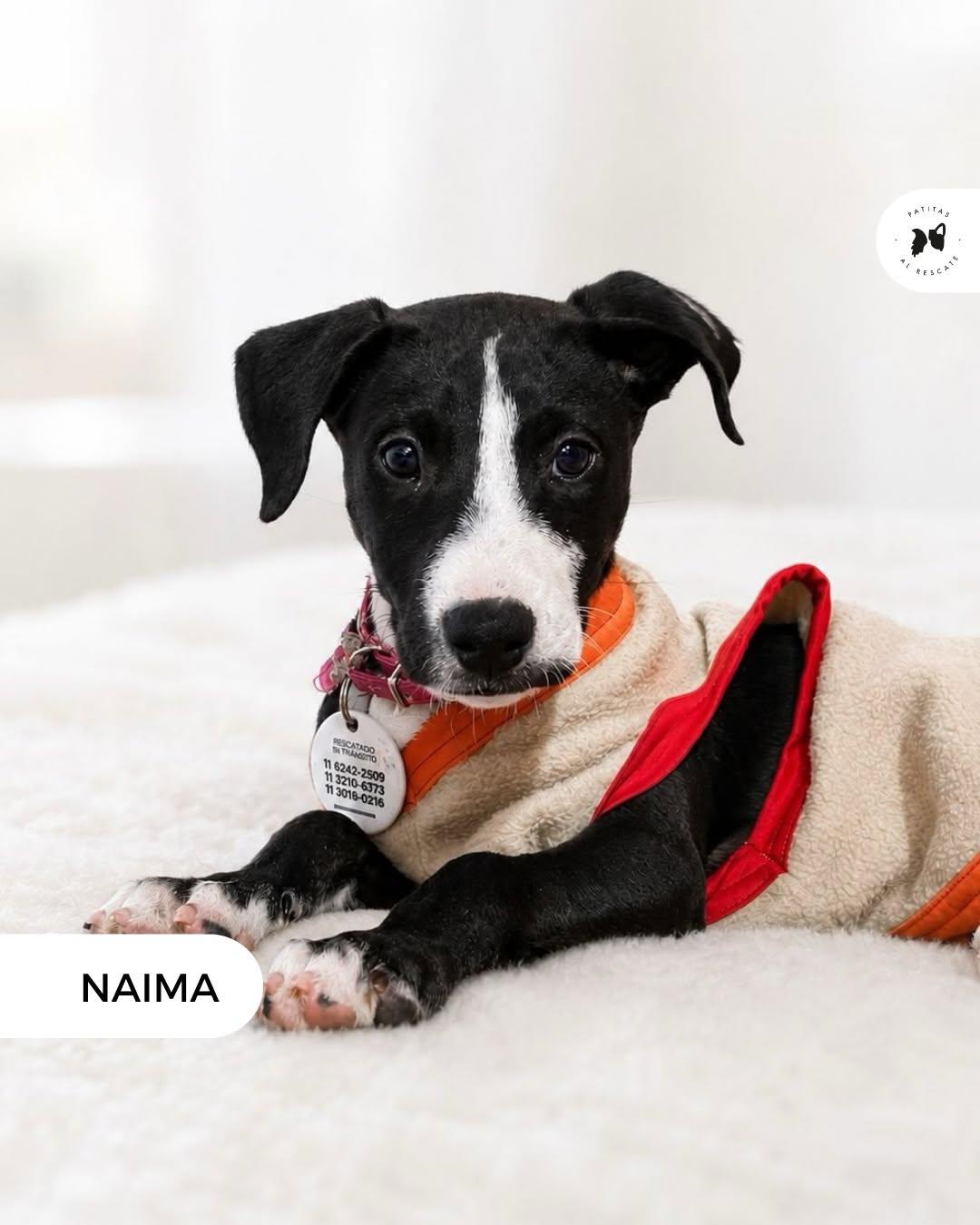 Noemí, Naima, Nori +1 (3/19)