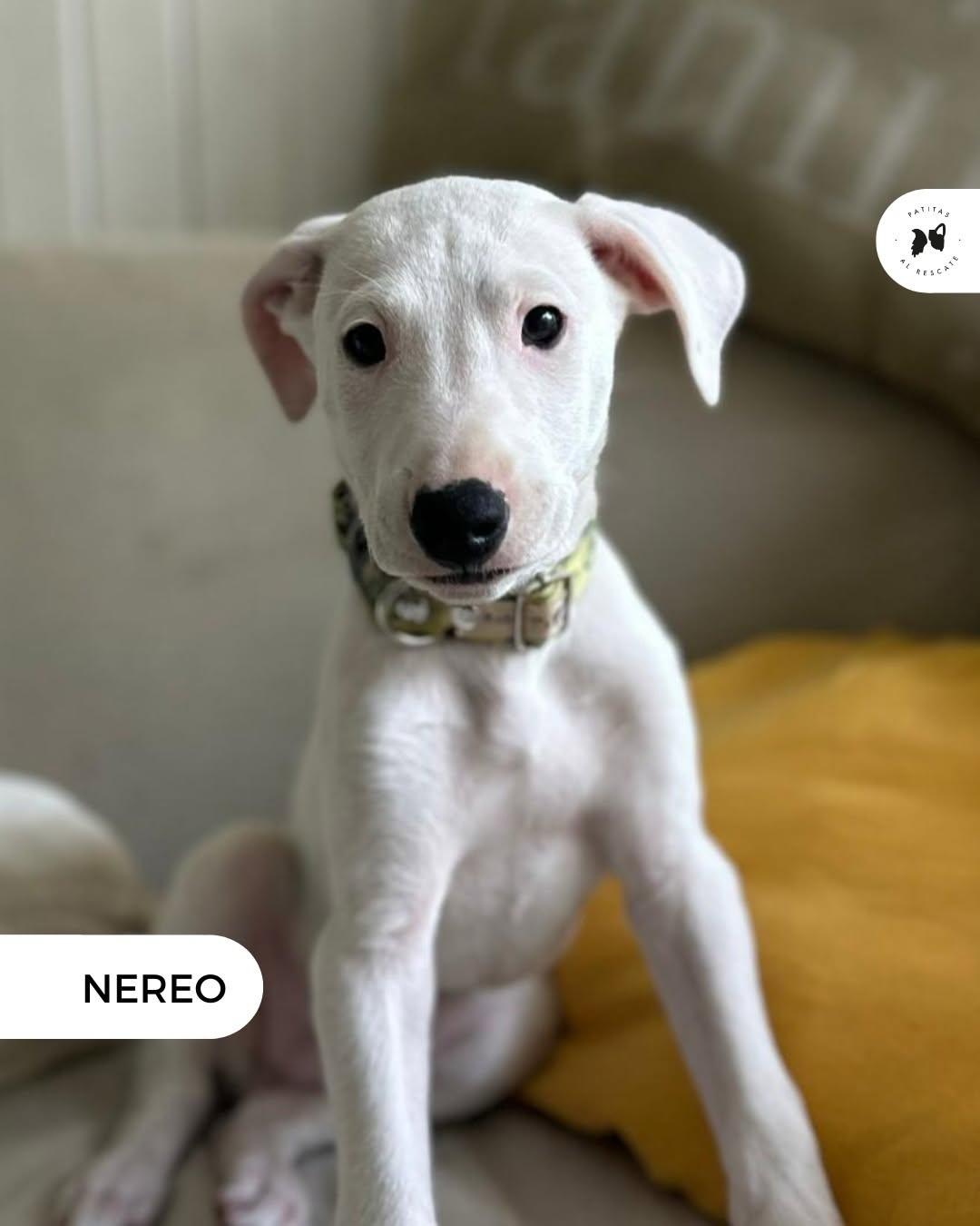 Noemí, Naima, Nori +1 (5/19)
