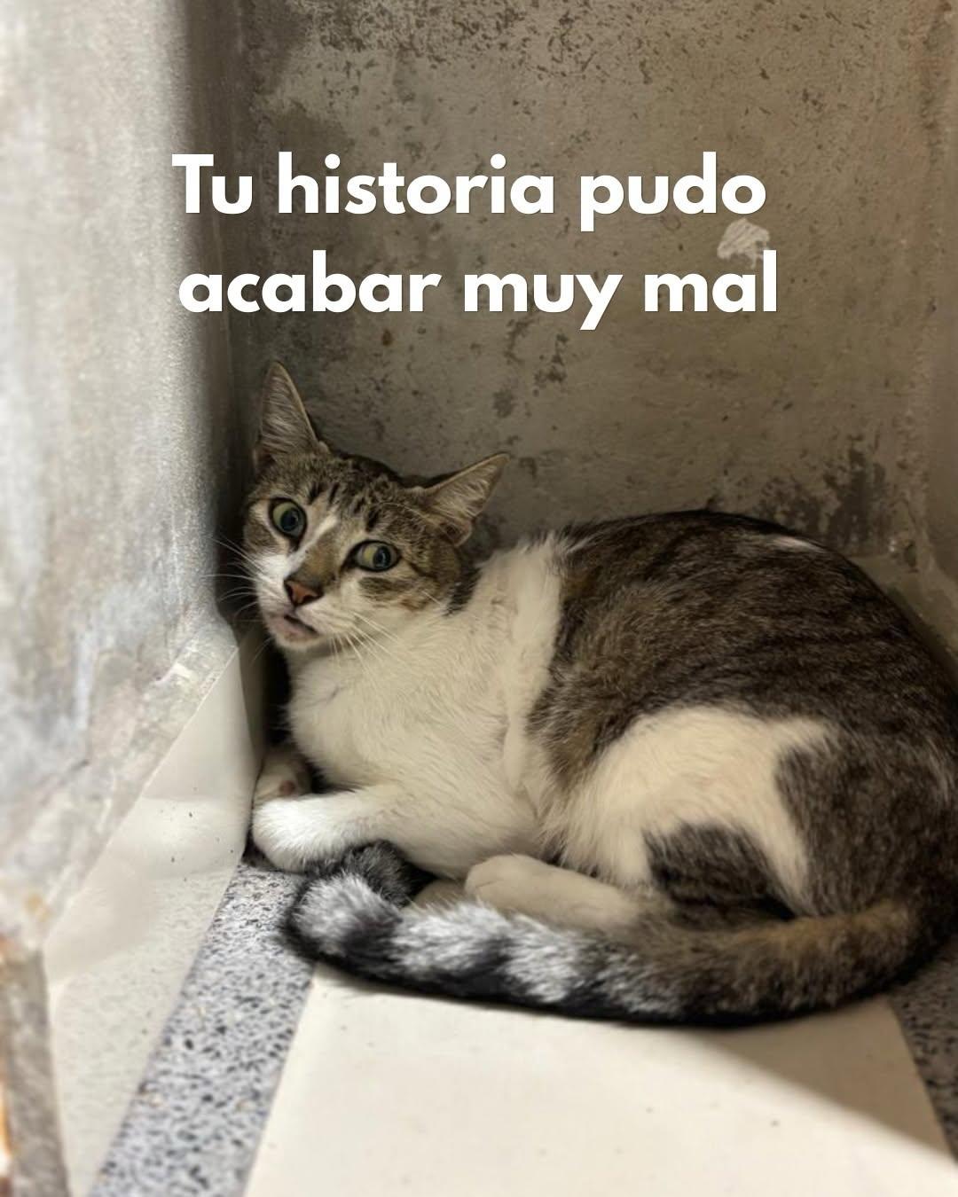 Sin nombre (1/10)