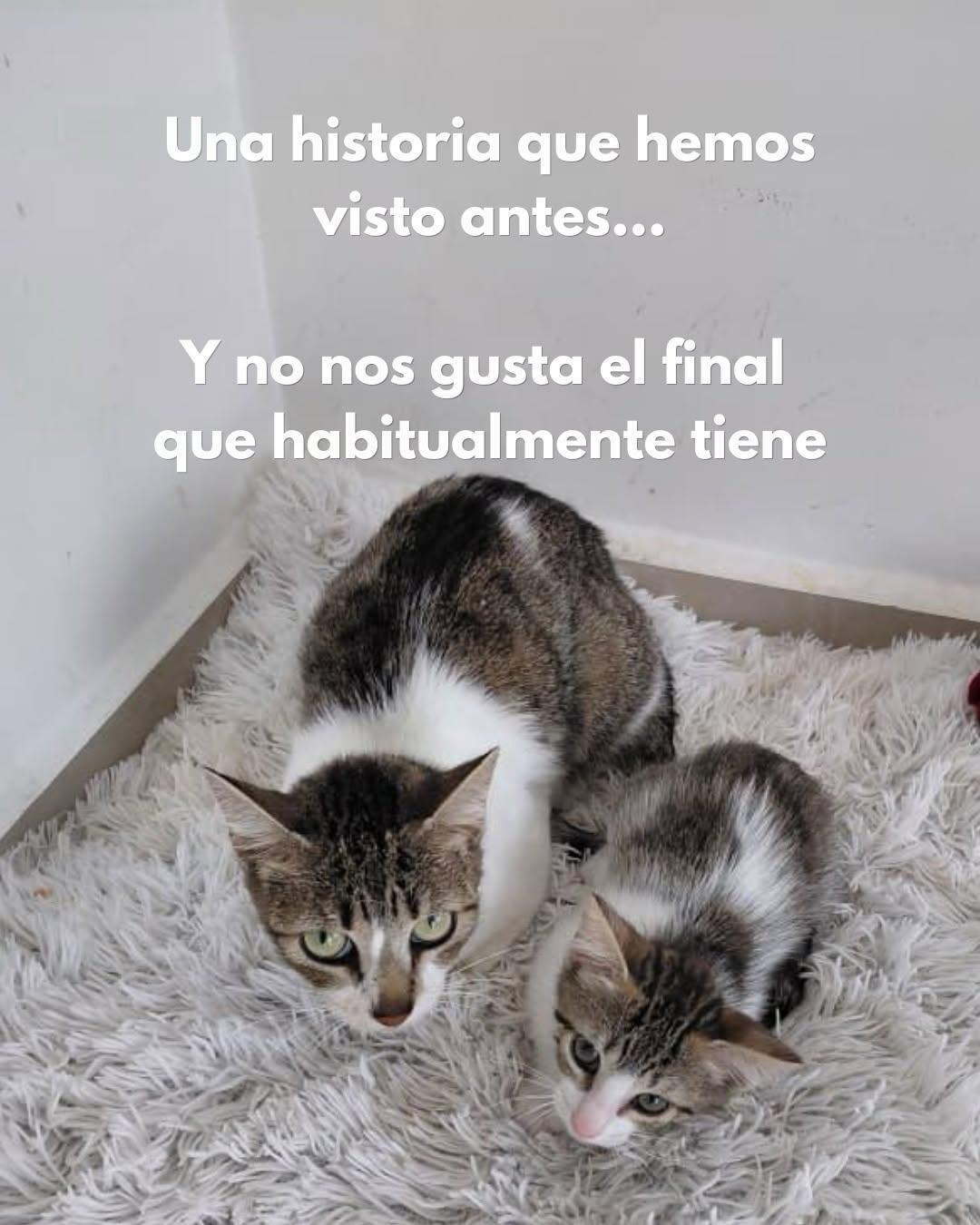 Sin nombre (2/10)