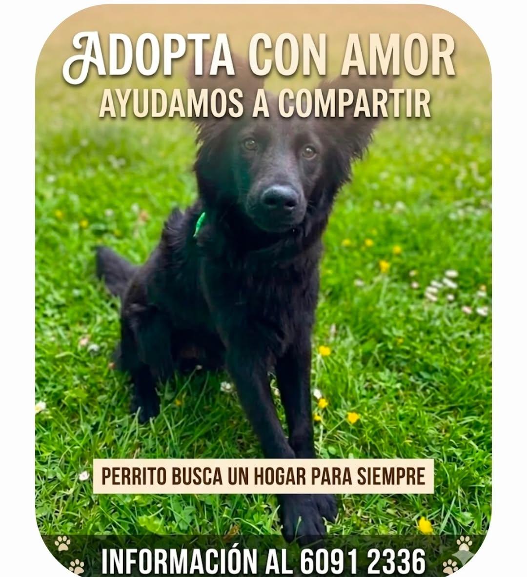 Sin nombre
