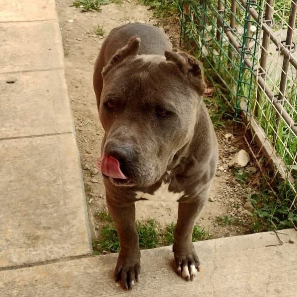 Tayson (1/2)