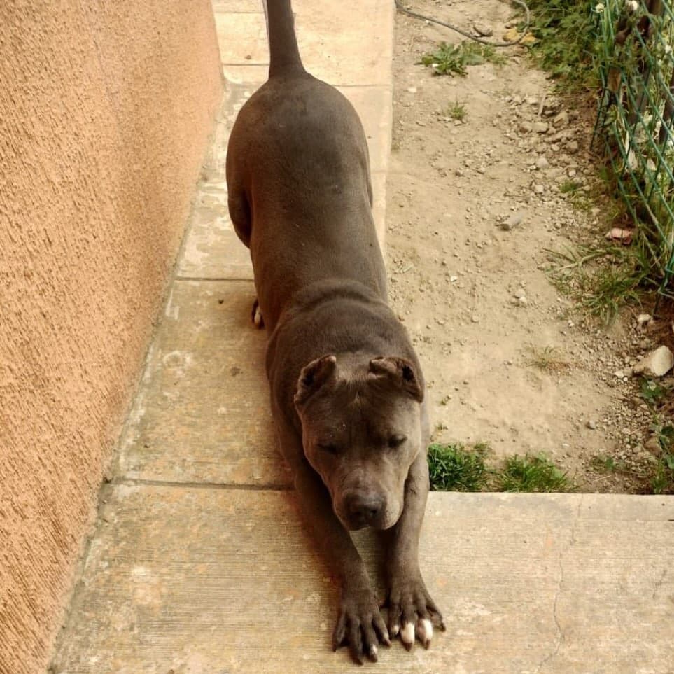 Tayson (2/2)