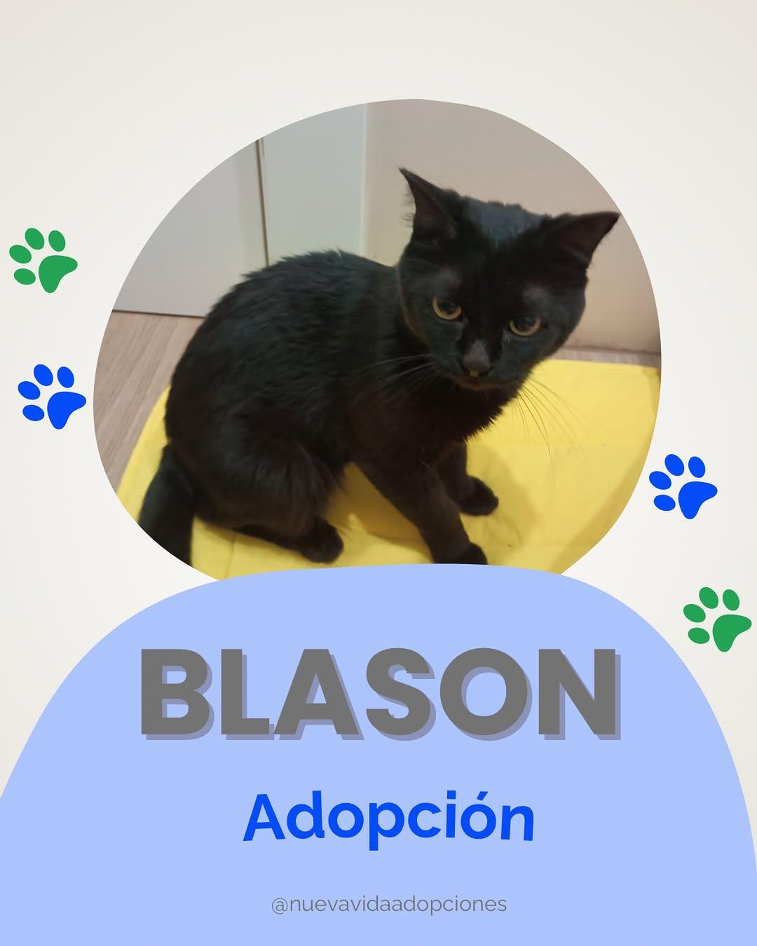 BLASON