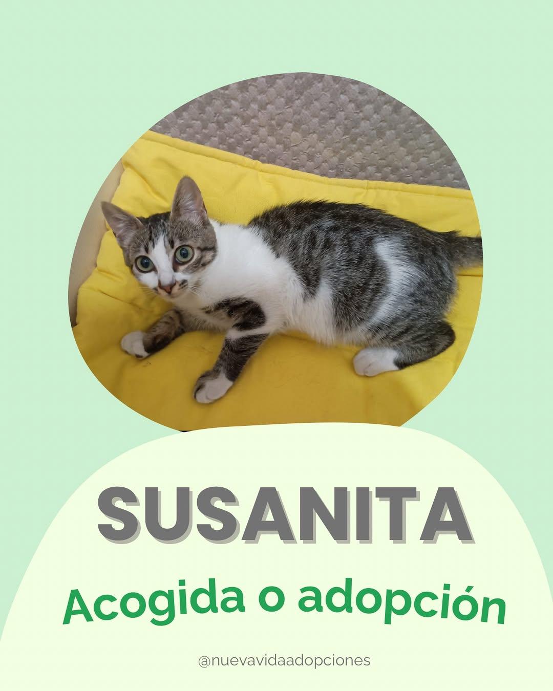 SUSANITA
