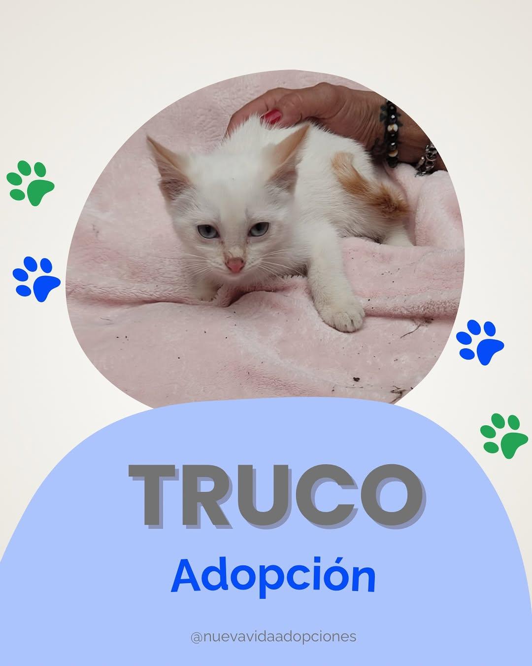 TRUCO