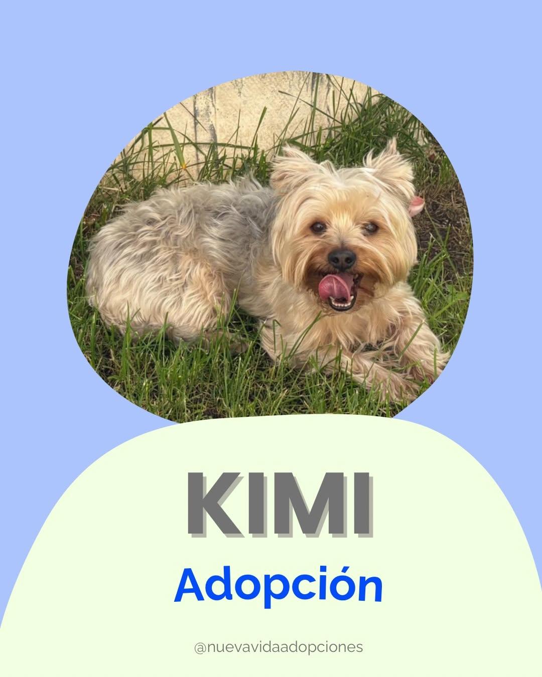 KIMI (1/5)