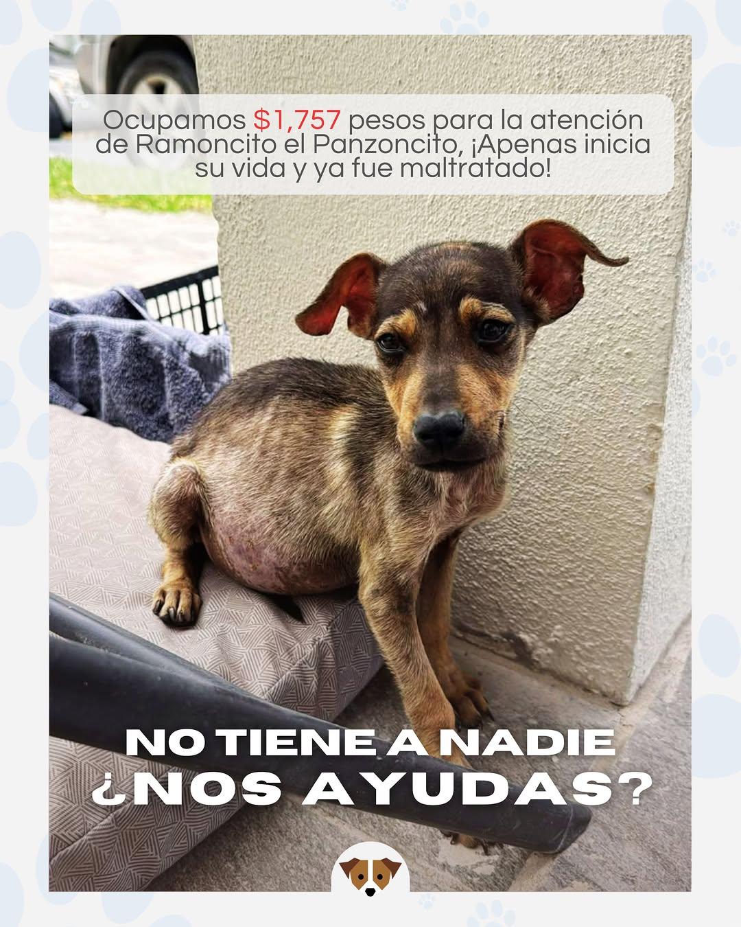 Ramoncito (2/4)