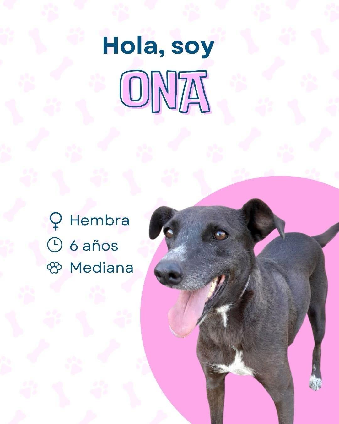 Ona (1/4)