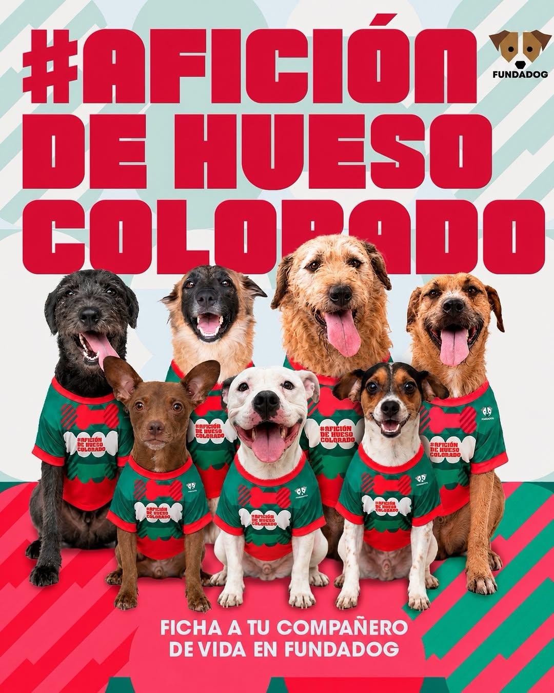 7 animalitos (1/8)