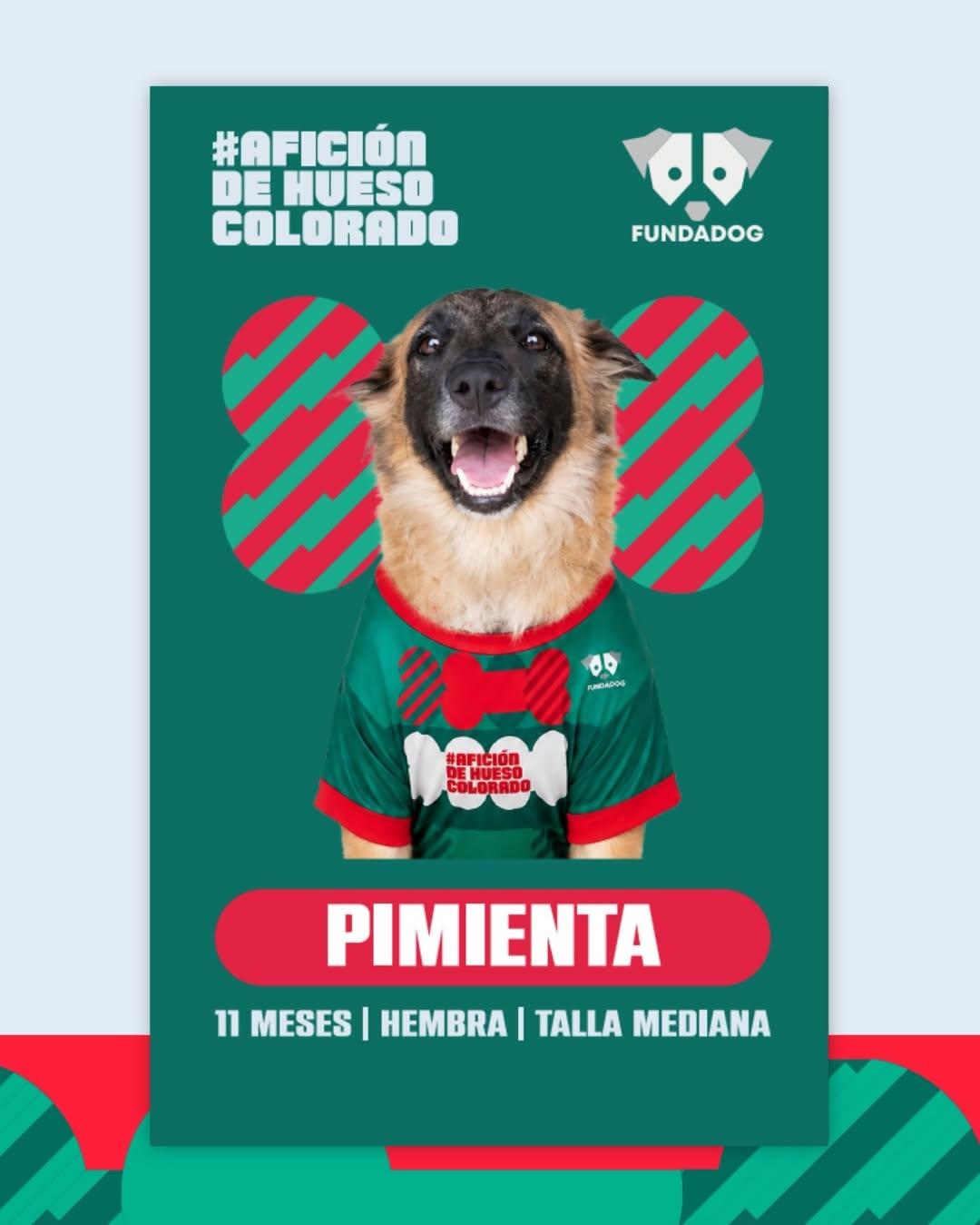 7 animalitos (2/8)