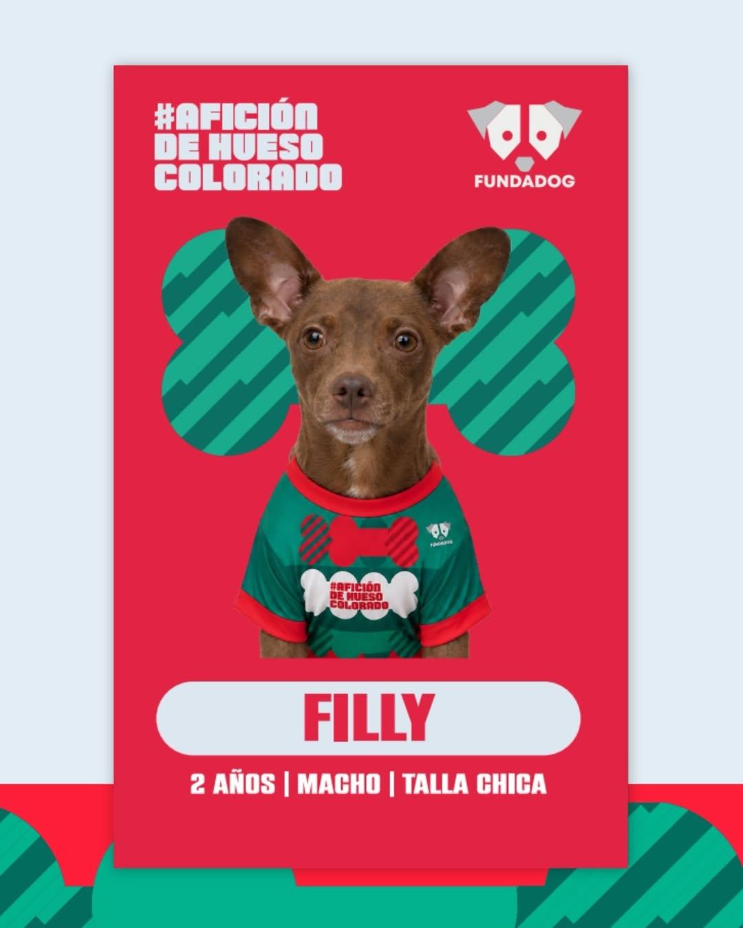 7 animalitos (3/8)