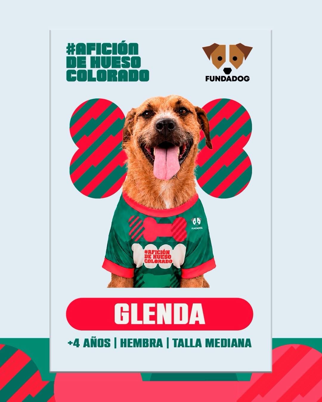 7 animalitos (4/8)