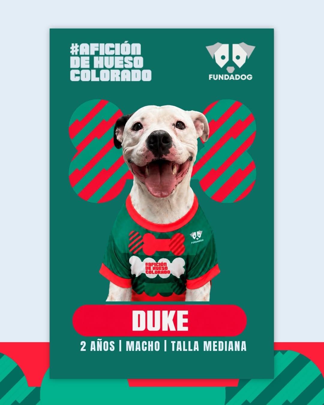 7 animalitos (5/8)