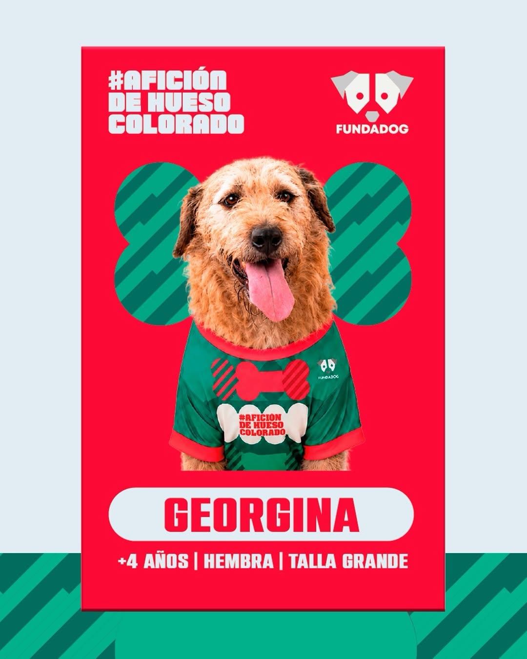 7 animalitos (6/8)