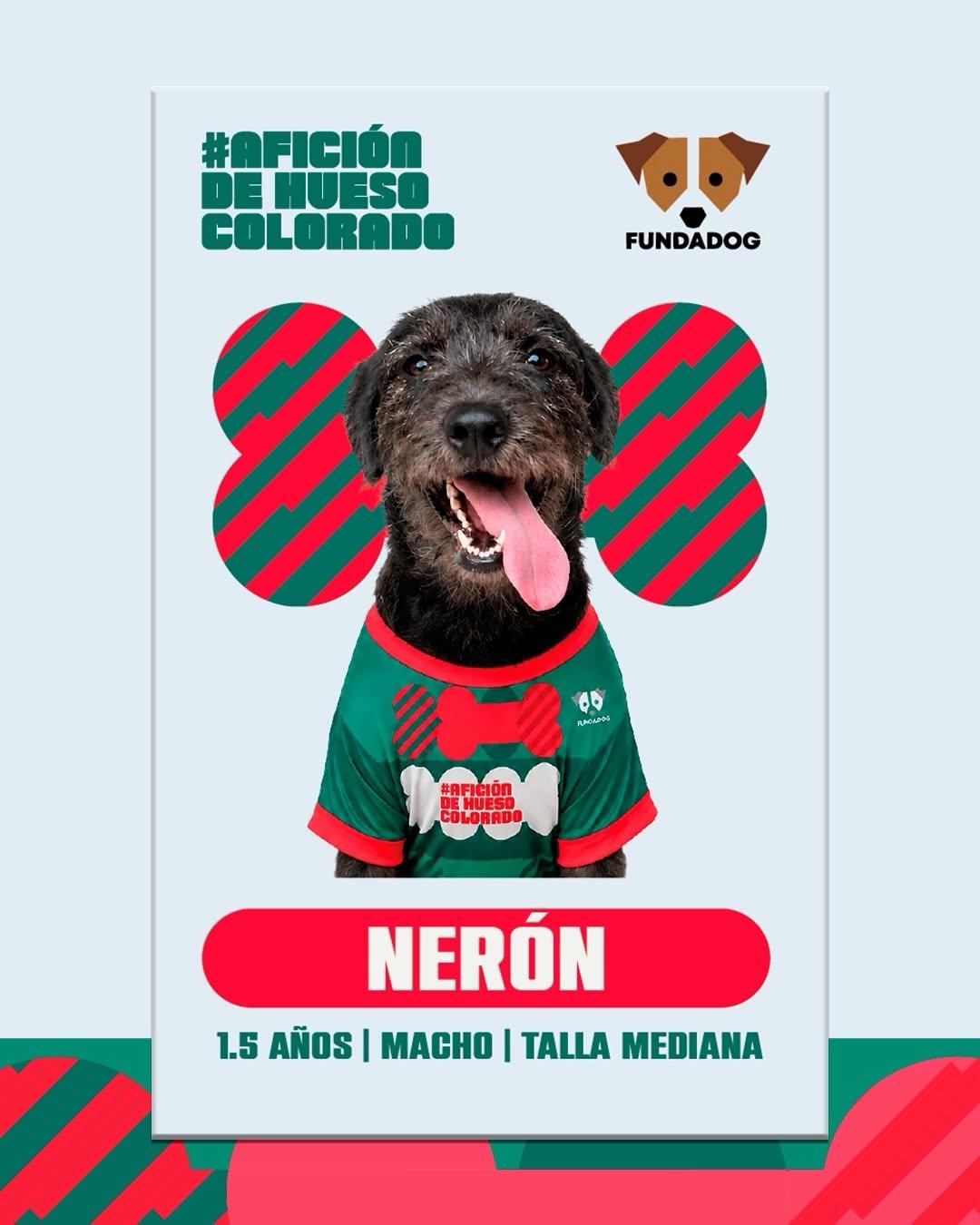 7 animalitos (7/8)