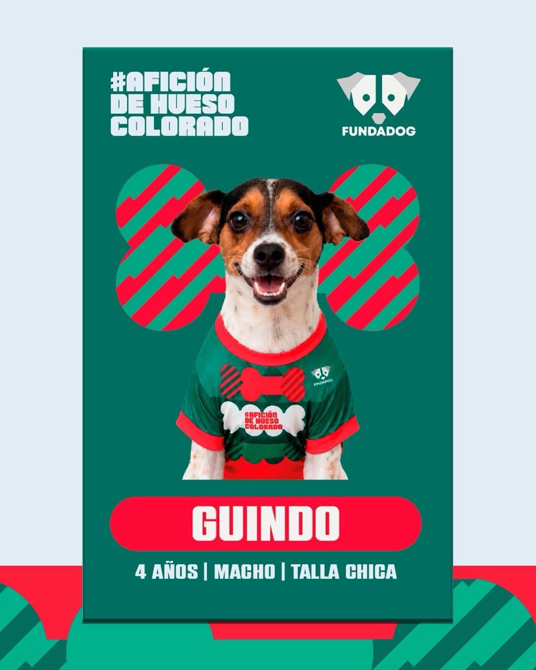 7 animalitos (8/8)
