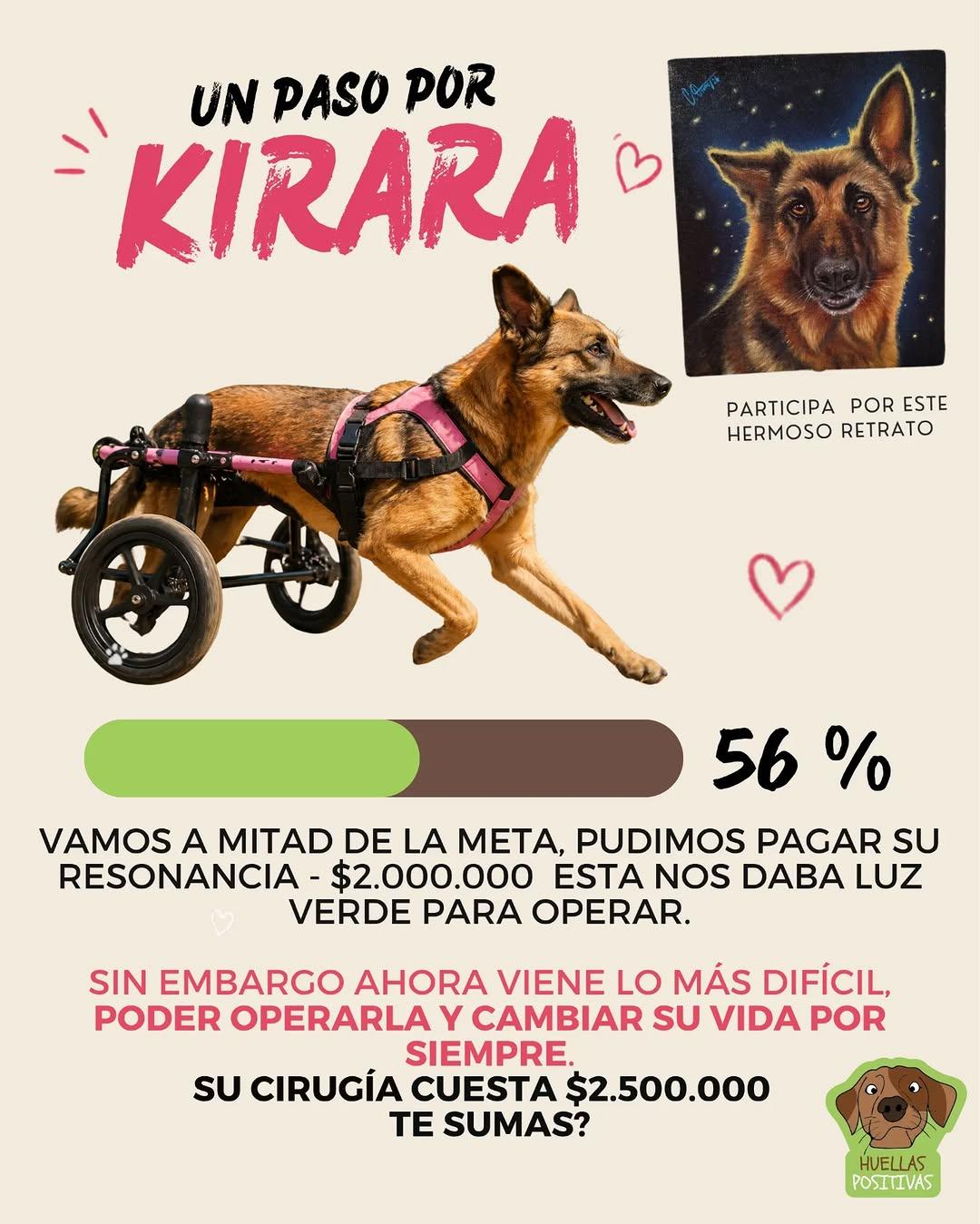 Kirara (2/4)