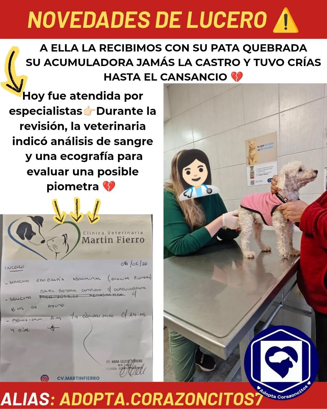 Lucero (1/3)