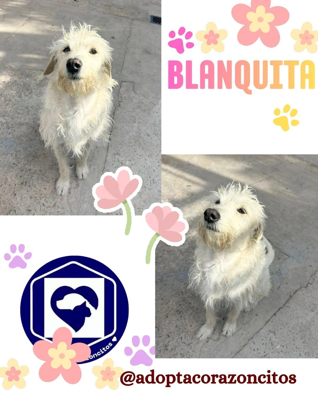 Blanquita
