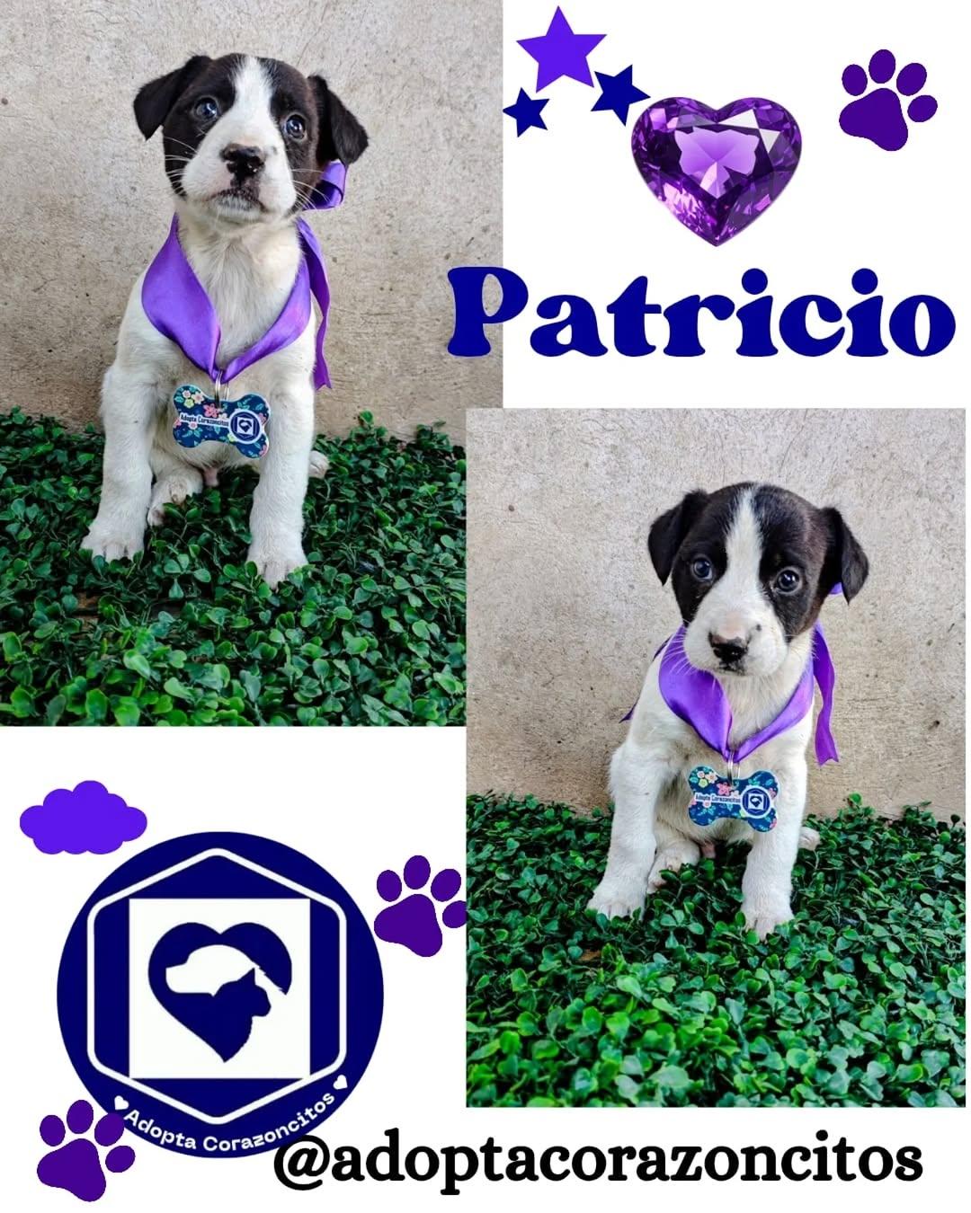 Patricio, Alan, Lucca +2 (1/5)