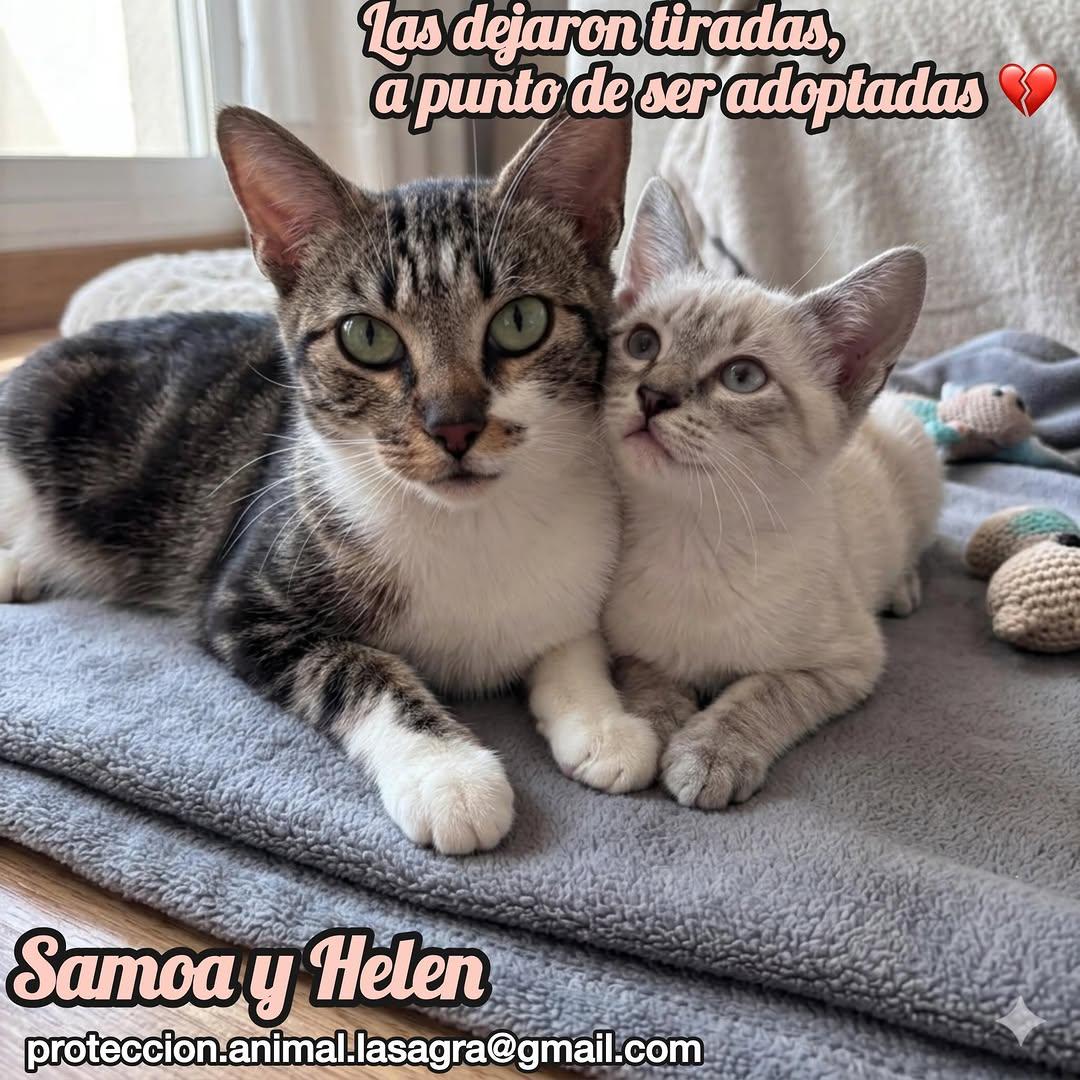 Samoa, Helen