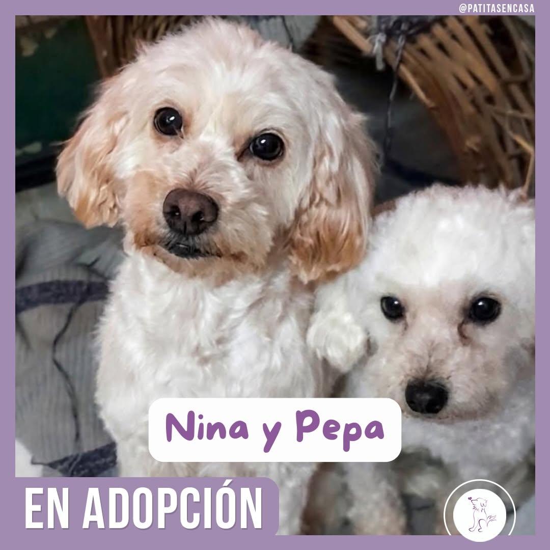 Nina, Pepa