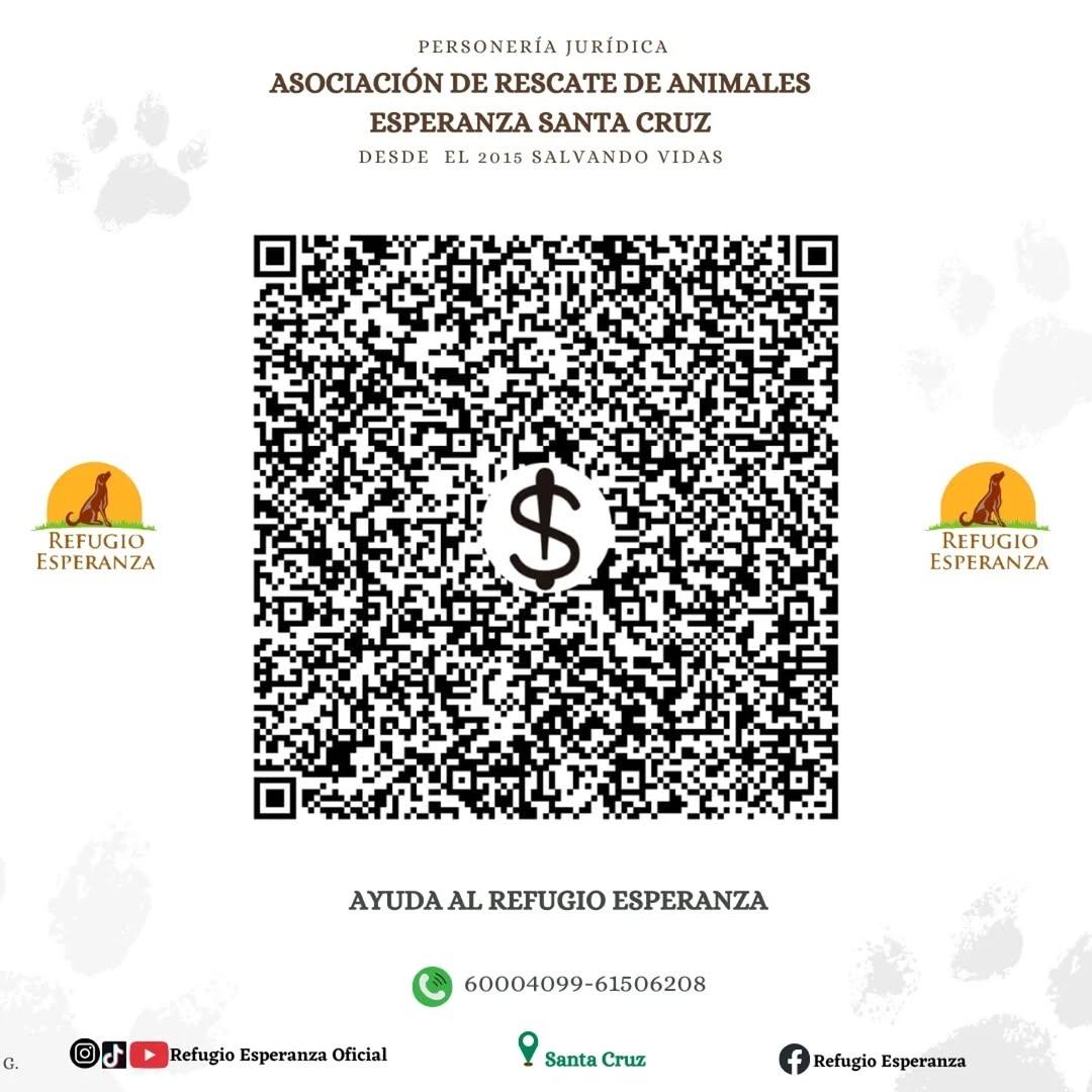 Tigrito (2/4)