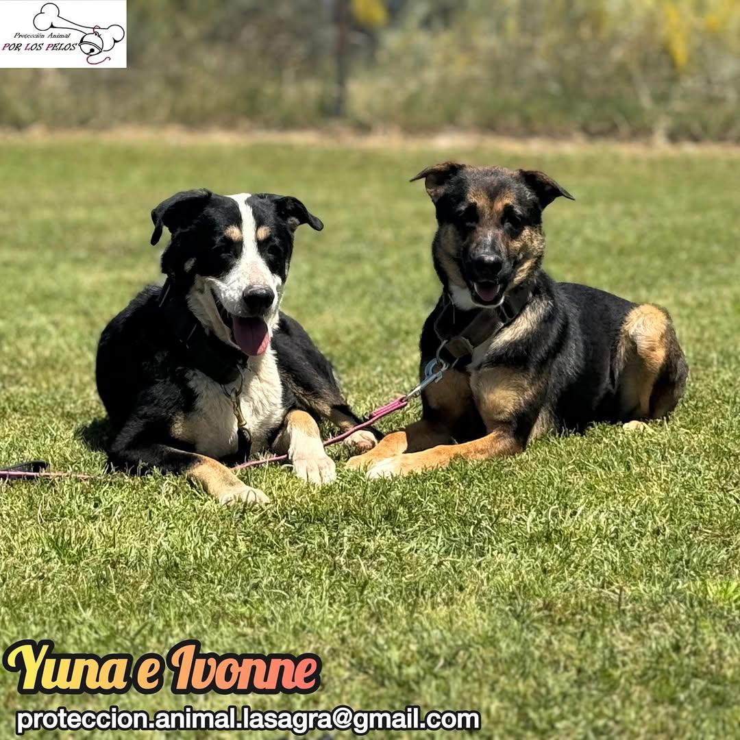 Yuna, Ivonne (2/14)