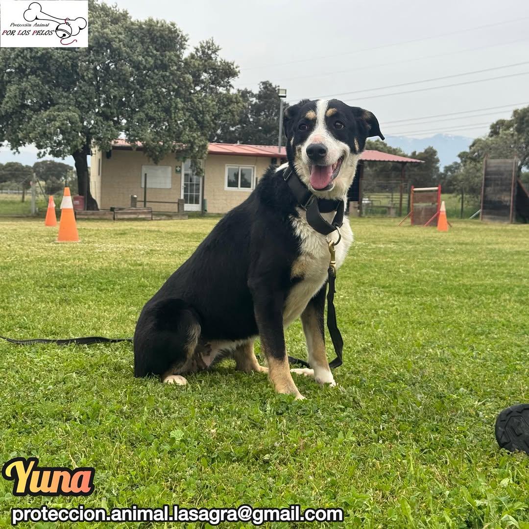 Yuna, Ivonne (13/14)