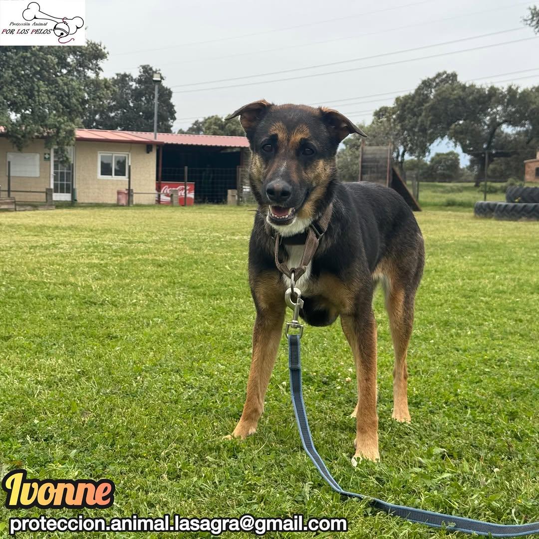 Yuna, Ivonne (14/14)