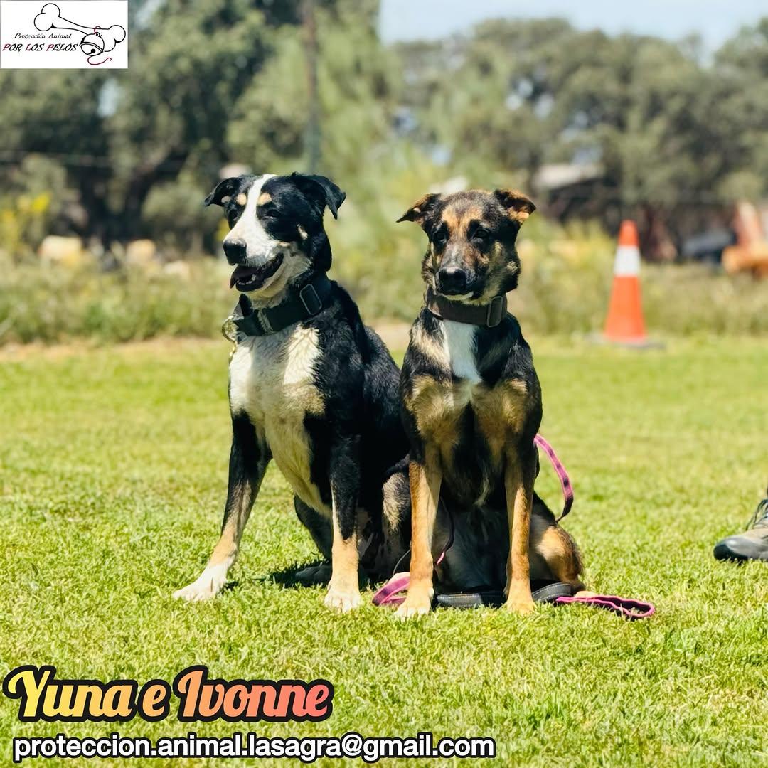 Yuna, Ivonne (4/14)