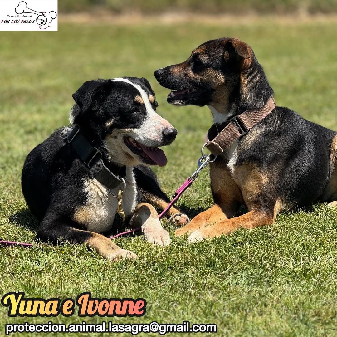 Yuna, Ivonne (6/14)