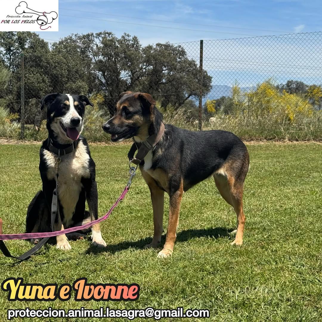 Yuna, Ivonne (7/14)