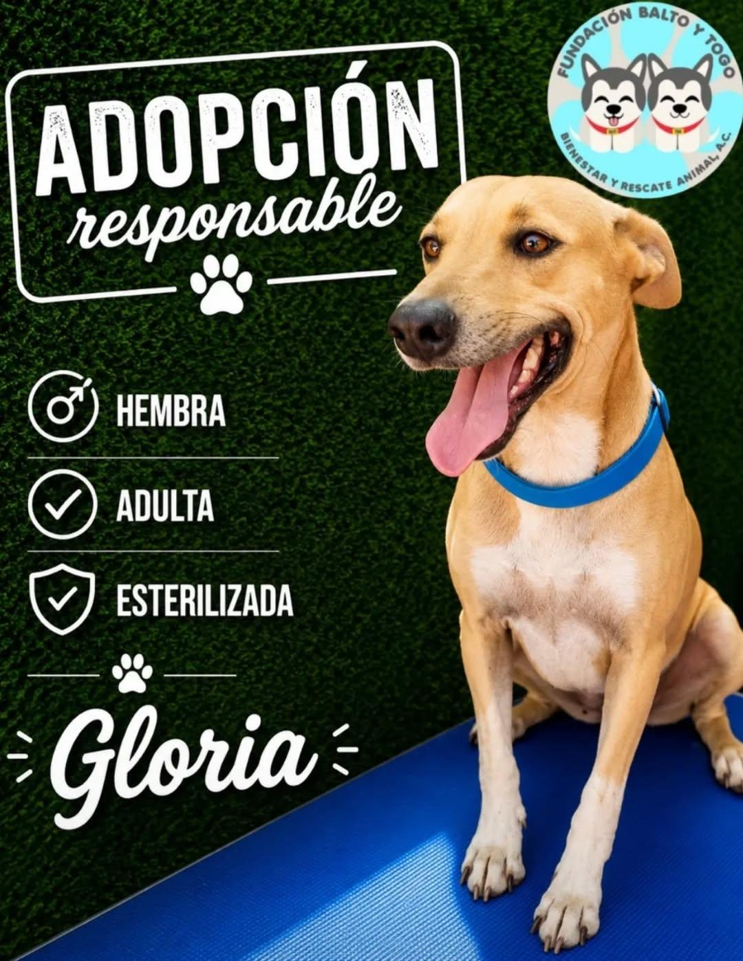 Conchita (16/18)