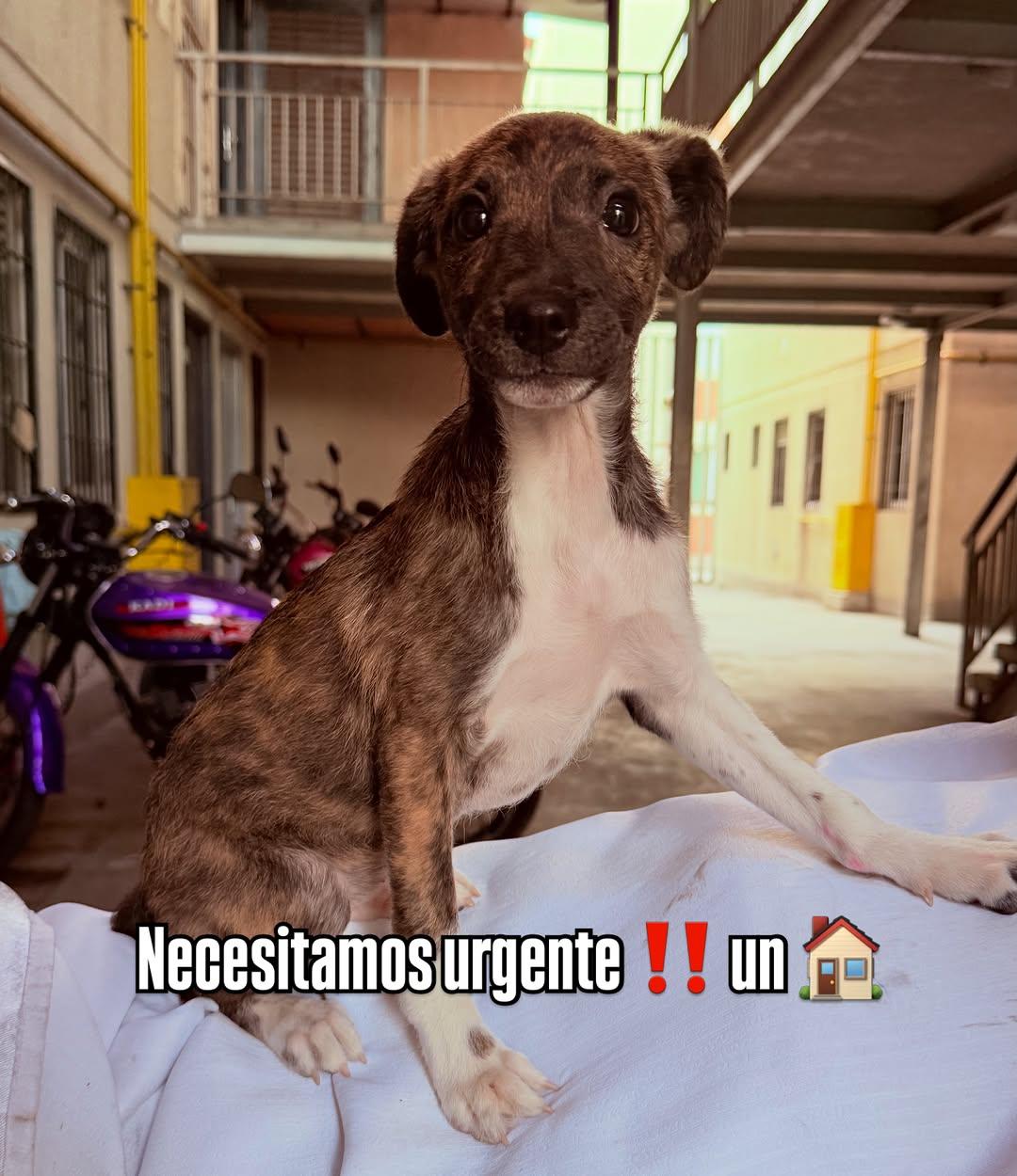 Sin nombre