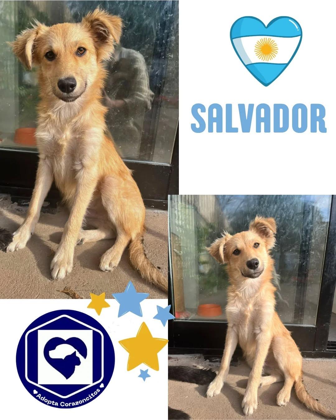 Salvador, Benjamín, Benicio (3/4)