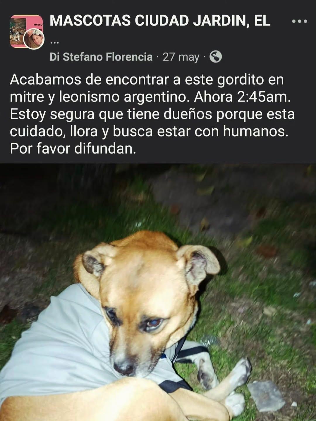 Sin nombre (2/9)