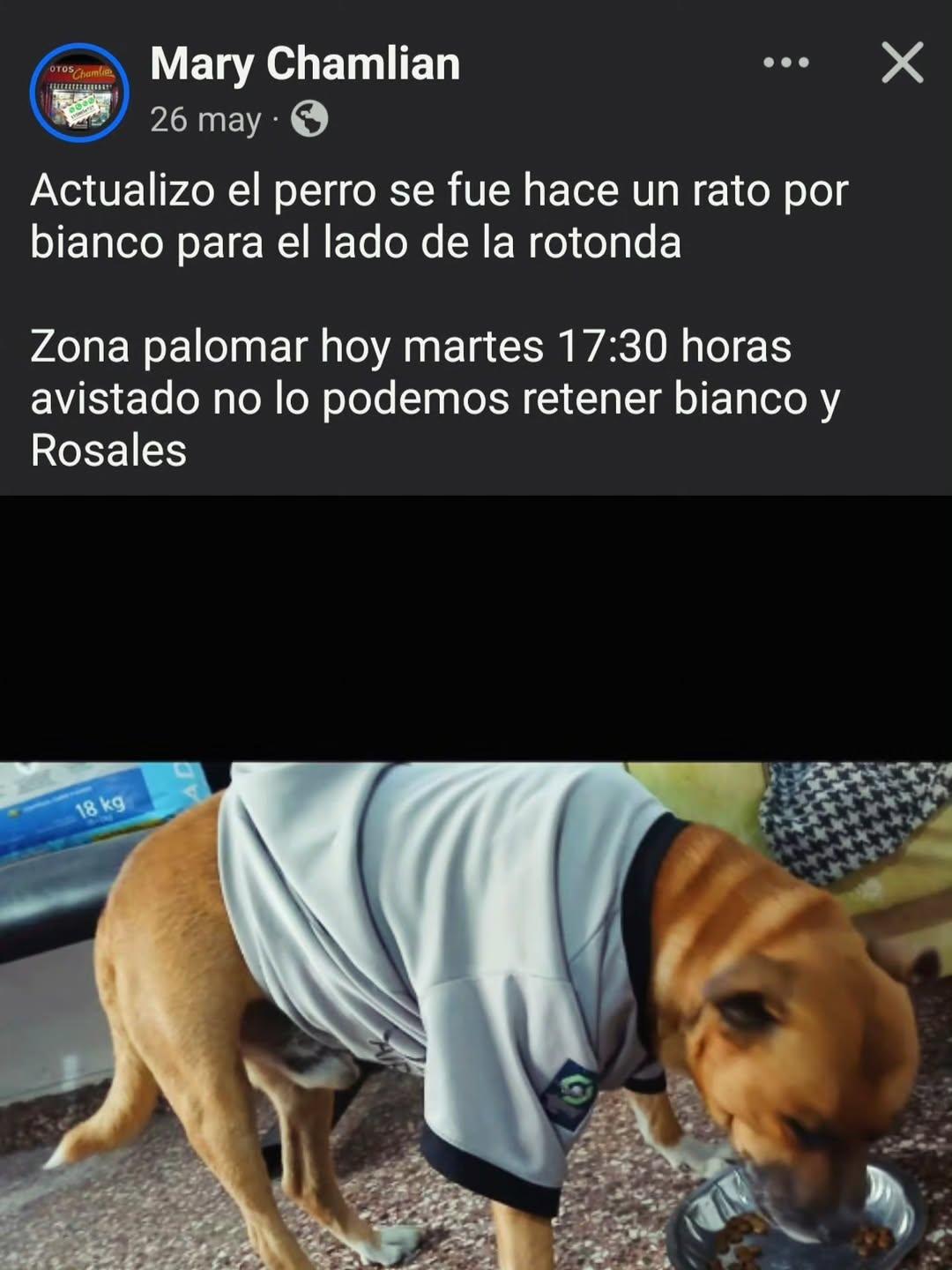 Sin nombre (3/9)