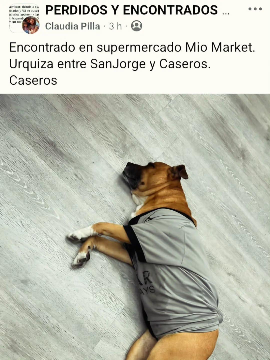 Sin nombre (6/9)