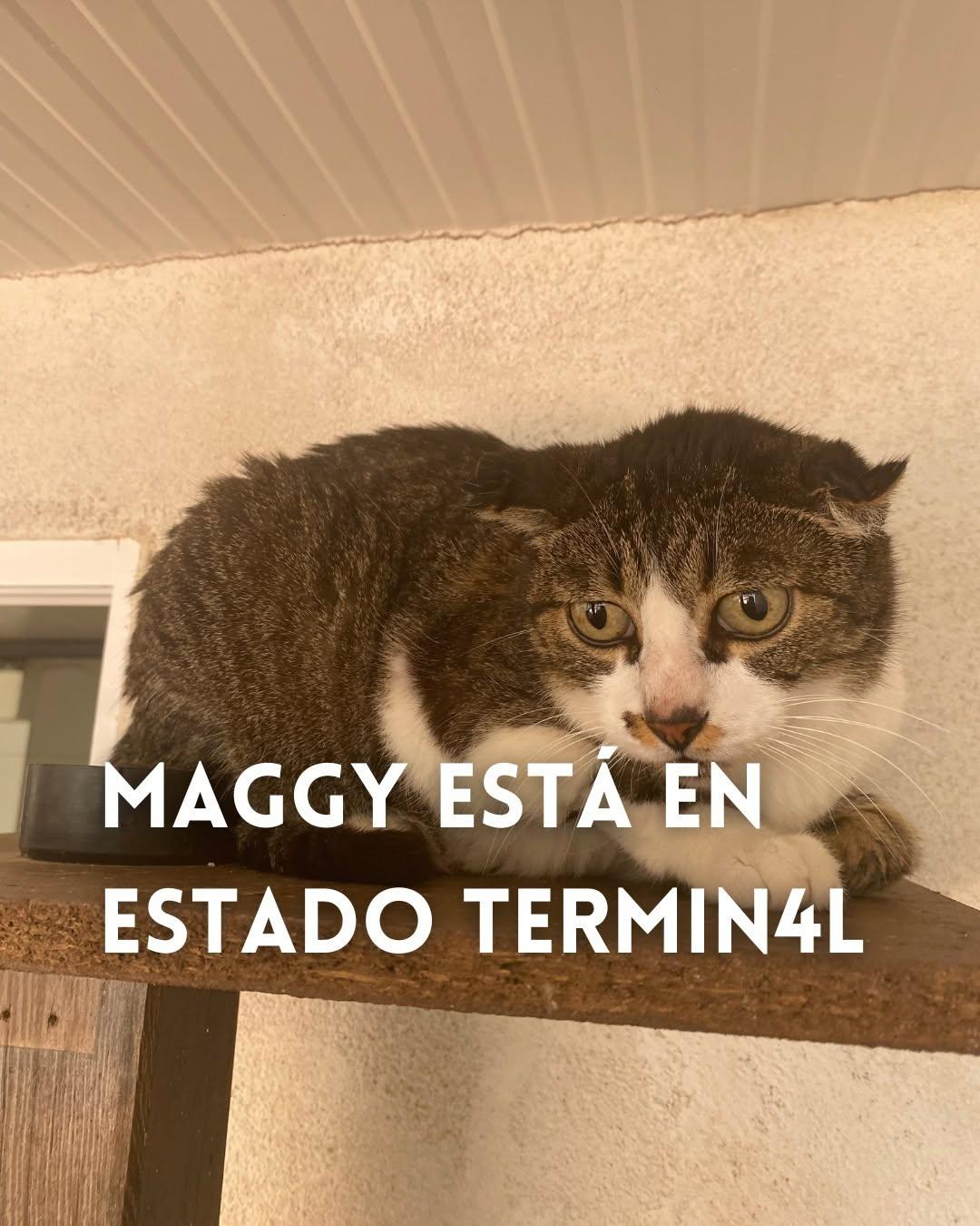 Maggy (1/7)