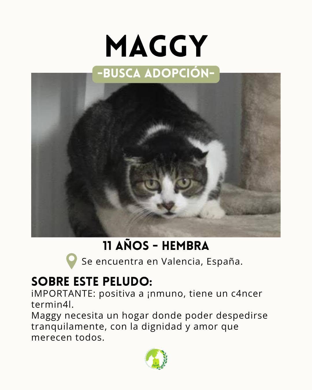 Maggy (2/7)
