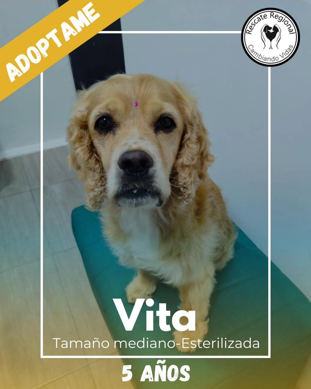 Vita (1/5)
