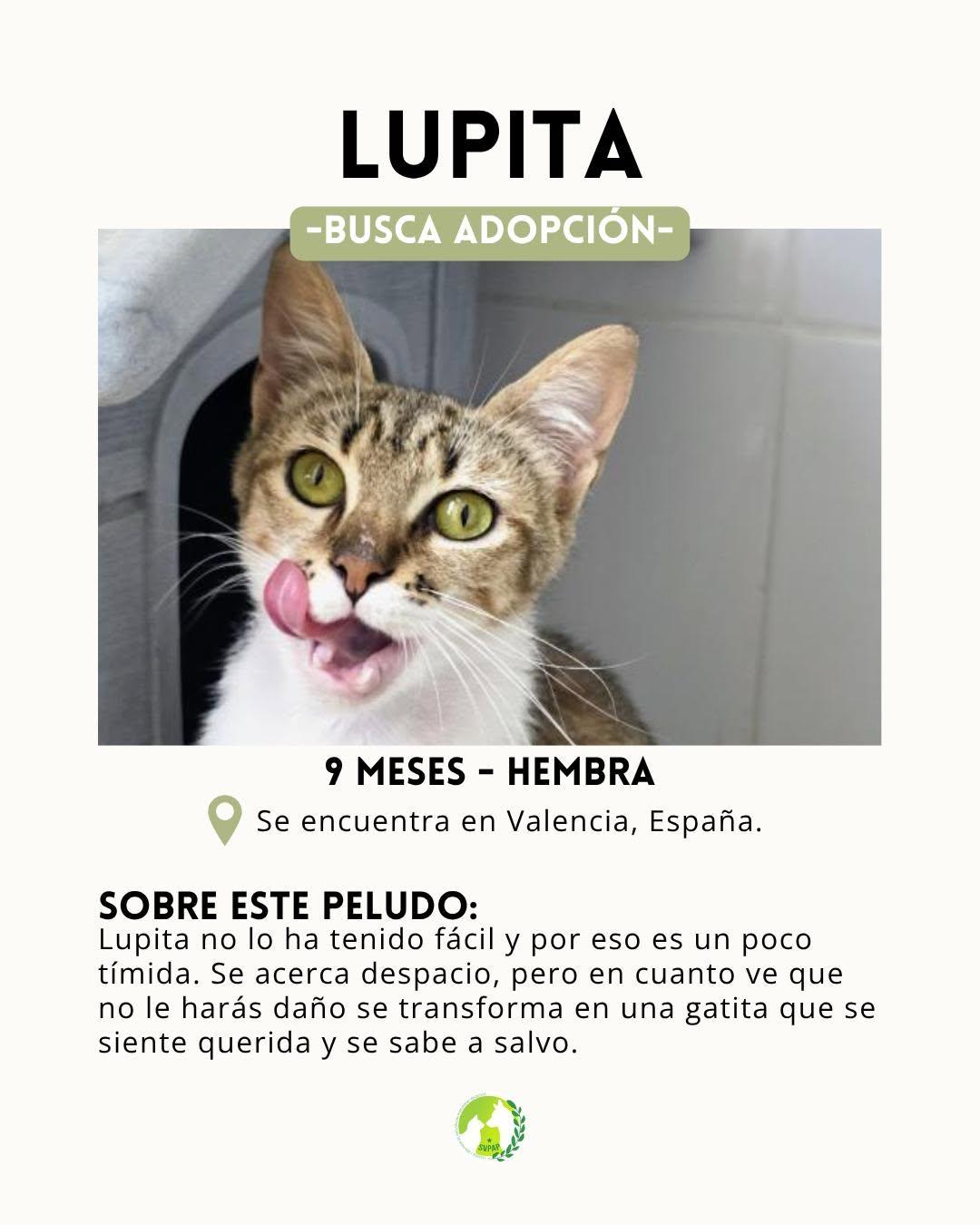Lupita (2/4)