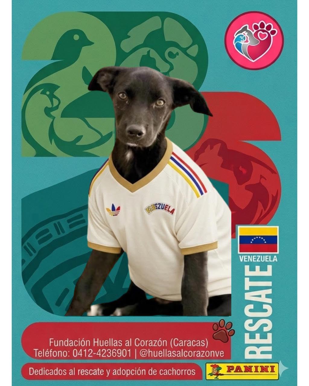 Sin nombre (4/6)