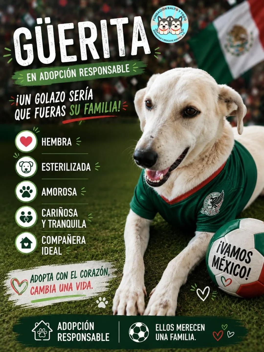 Canelita (4/6)