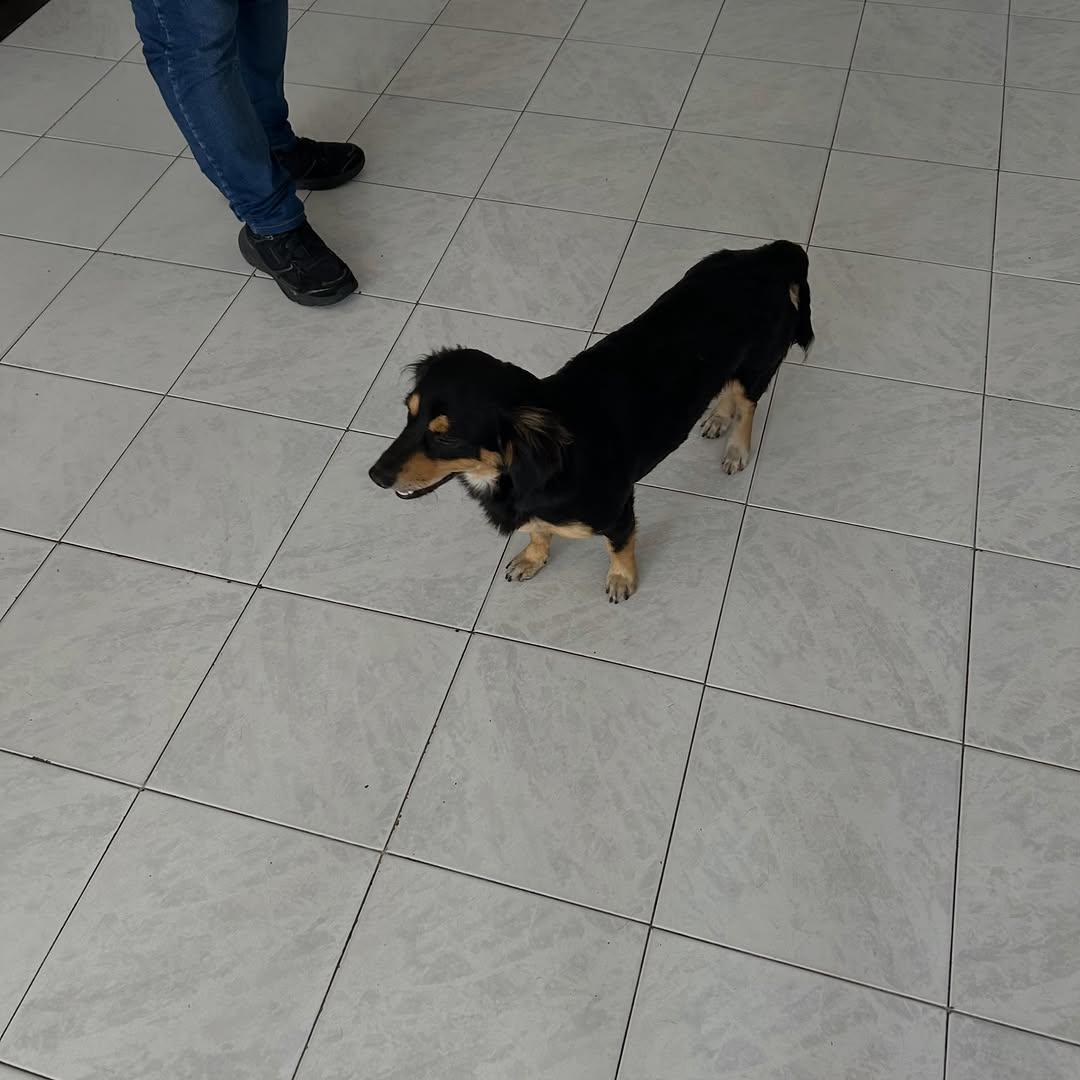 Sin nombre (5/5)
